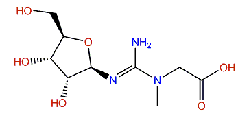 Creatine riboside